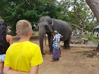 Tempel onderweg met zn eigen olifanten
