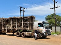 IMG_3451