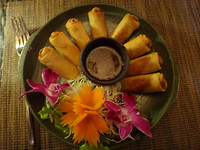 Springrolls