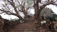 Wat Phu Trappen