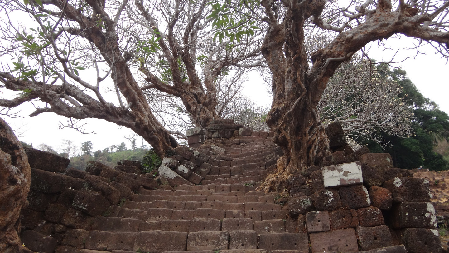 Wat Phu Trappen