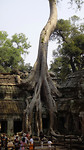 Ta Prohm
