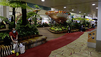Changi Airport Singapore