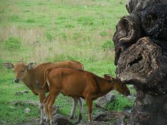 DSCN0705