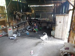 DSCN0714