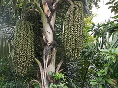 DSCN0743