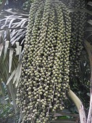 DSCN0744