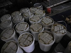 DSCN0746