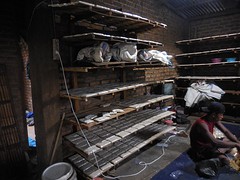 DSCN0747