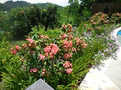 DSCN0751