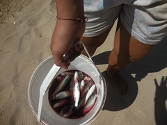 DSCN0759