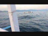 DSCN0349