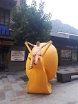 IMG-20190726-WA0001