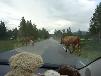 DSC03720