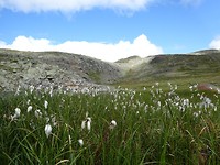 DSC03739