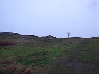 DSC01354