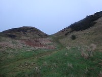 DSC01360