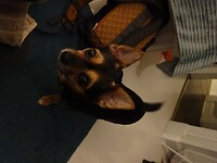 DSC01609
