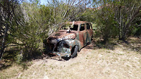 Car for rent