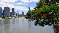 Brisbane