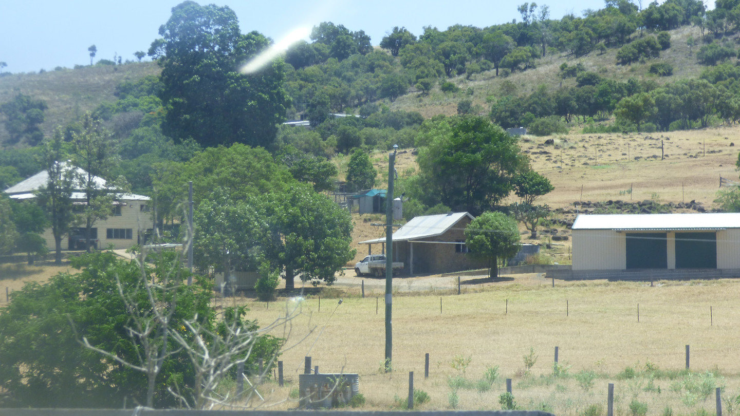 Koster's Farm