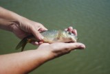 Ook kleintjes tellen mee