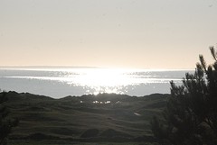 Vroege avond