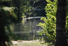 zon op het water