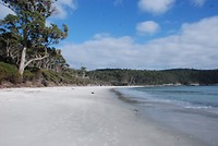 Fortescue Bay