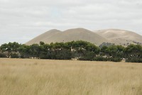 Onderweg, Mount Elephant