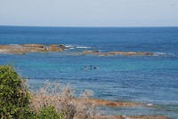 Ocean View