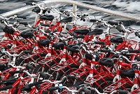 Fietsje huren