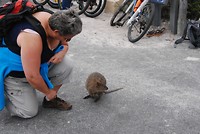 Superrat?