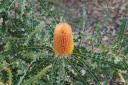 089 botanische tuin
