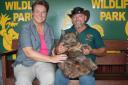091 wombat