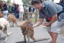 095 skippy heeft honger