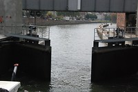 DSC_5317