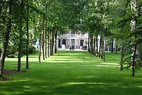 Vanuit de tuin
