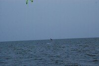 Actie op het water