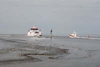 Toch naar ..... Ameland?