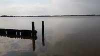 Nieuwkoopse plassen