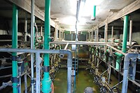 In de melkstal