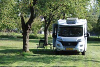 Mooie stek in de boomgaard