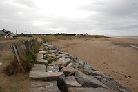 DSC_9606