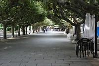 DSC_9979