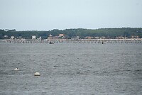 DSC_1178