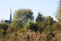 DSC_1358