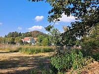 Camping am Buchsee