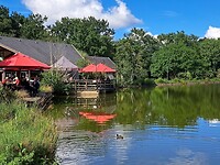Terras is het park bij de camping