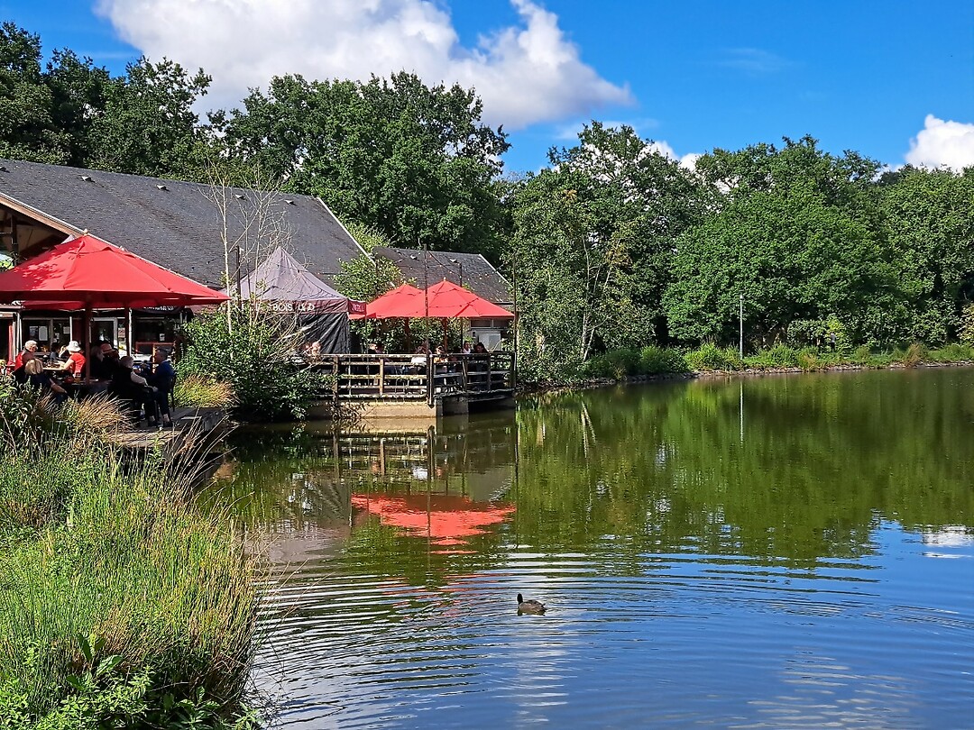 Terras is het park bij de camping